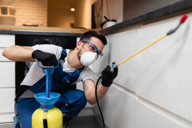 Best Flea Control Services  in Vinton, LA