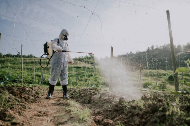 Best Best Pest Control Companies  in Vinton, LA