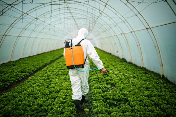 Best Pest Removal Services  in Vinton, LA