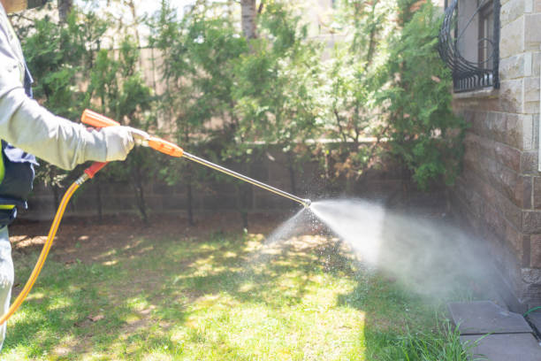 Best Spider Control Near Me  in Vinton, LA