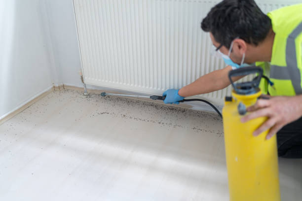 Best Pest Control for Restaurants  in Vinton, LA