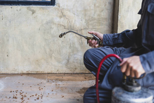 Pest Control for Restaurants in Vinton, LA