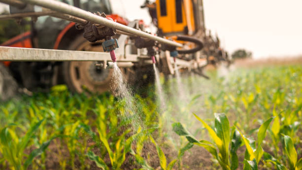 Best Pest Prevention Services  in Vinton, LA